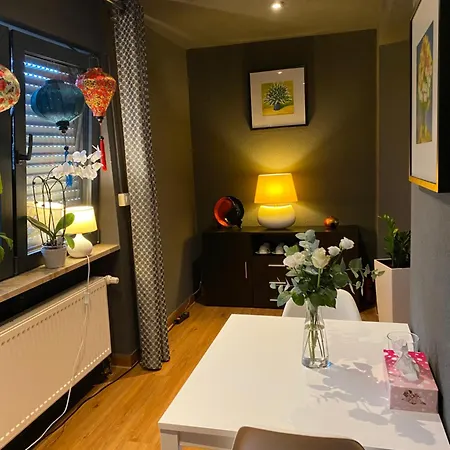 1 Grosse Elegante Zimmerwohnung 5 Minuten Zu Fuss In Die Stadtmitte Lorrach Exterior photo