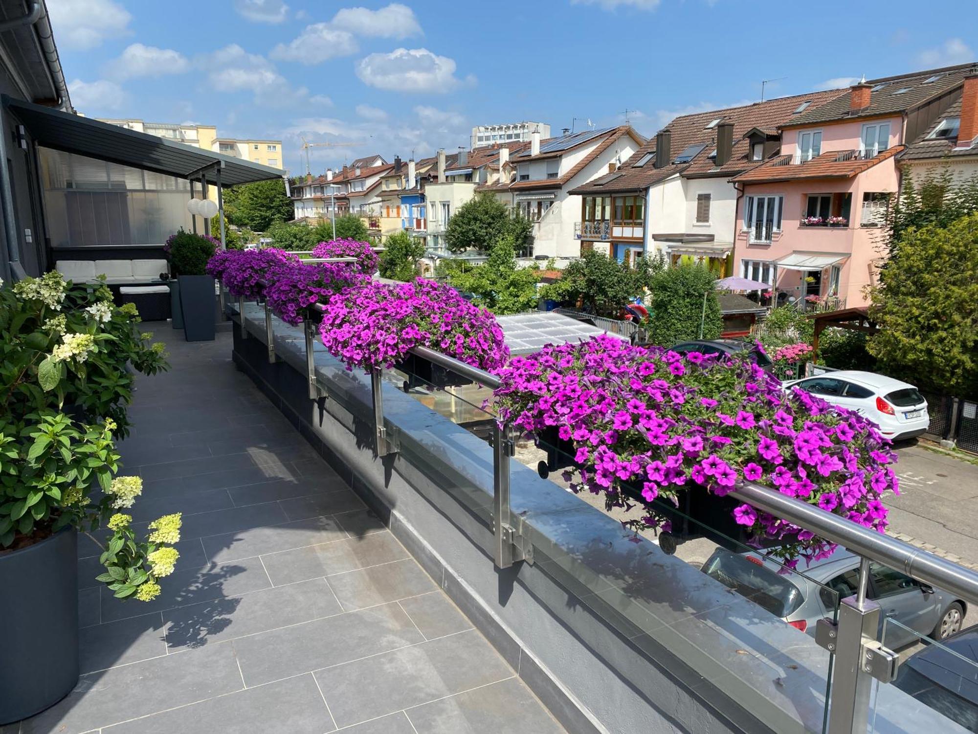 1 Grosse Elegante Zimmerwohnung 5 Minuten Zu Fuss In Stadtmitte Apartment Lorrach
