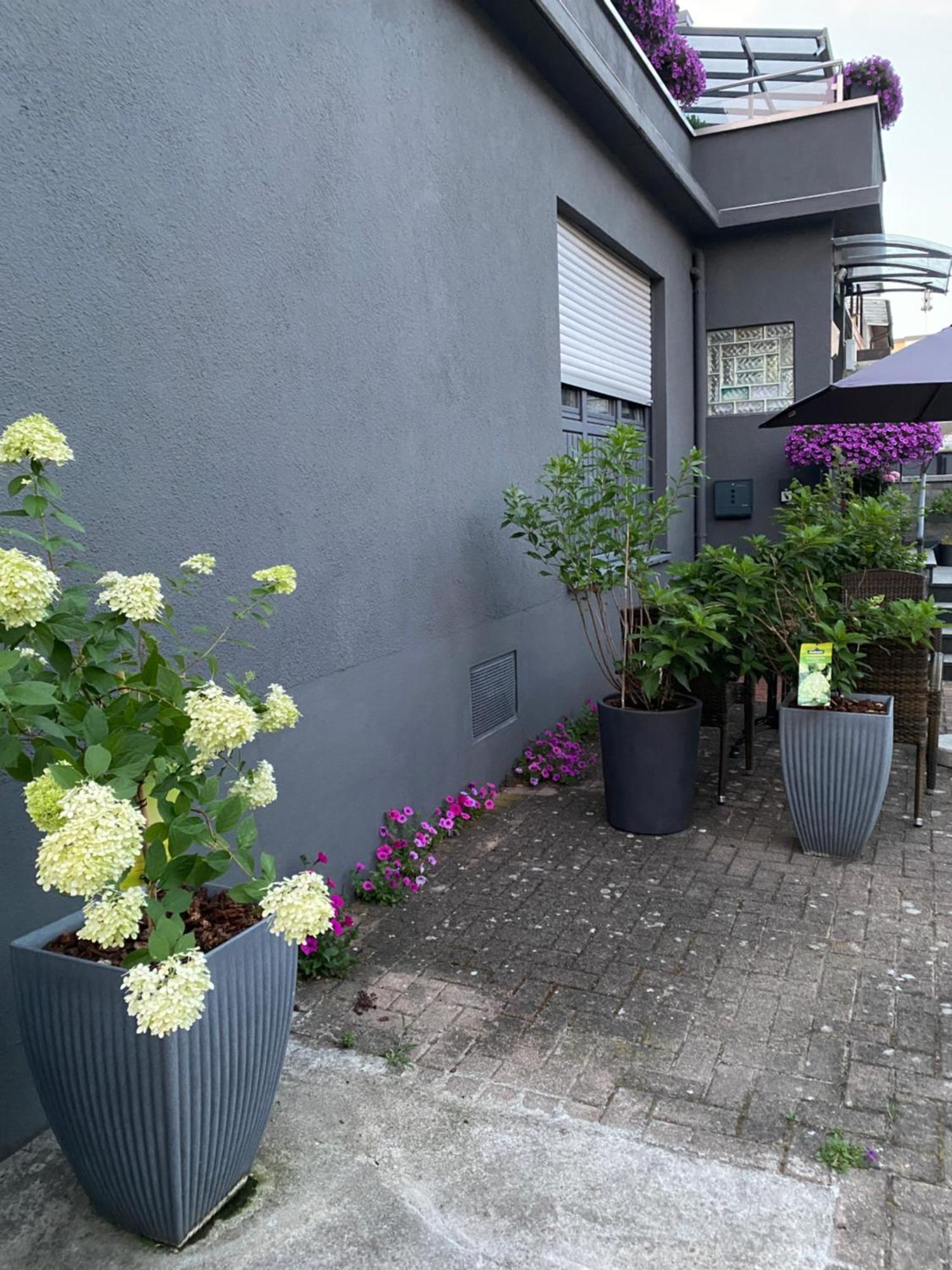 Apartment 1 Grosse Elegante Zimmerwohnung 5 Minuten Zu Fuss In Stadtmitte Lorrach