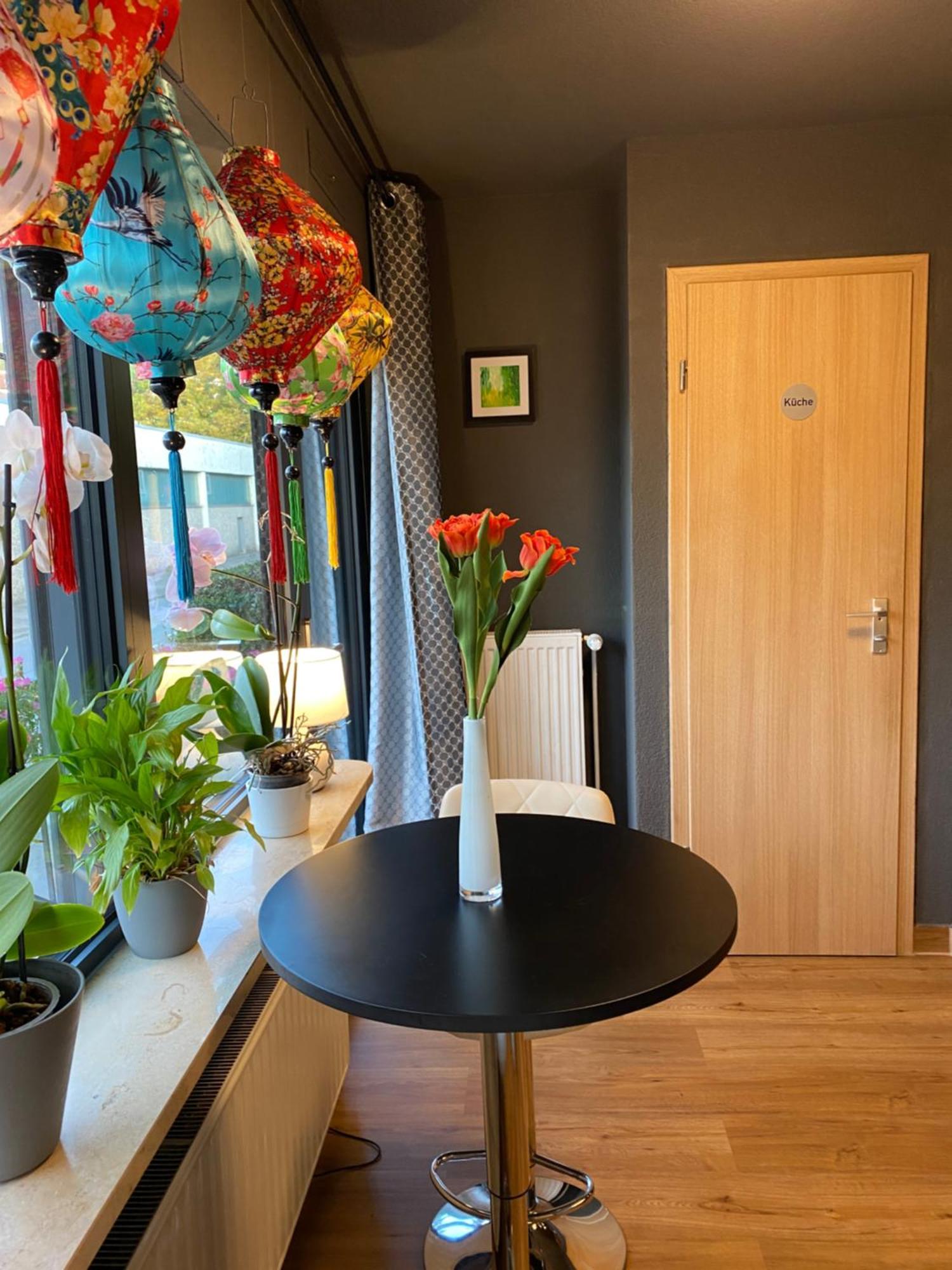 Apartment 1 Grosse Elegante Zimmerwohnung 5 Minuten Zu Fuss In Stadtmitte
