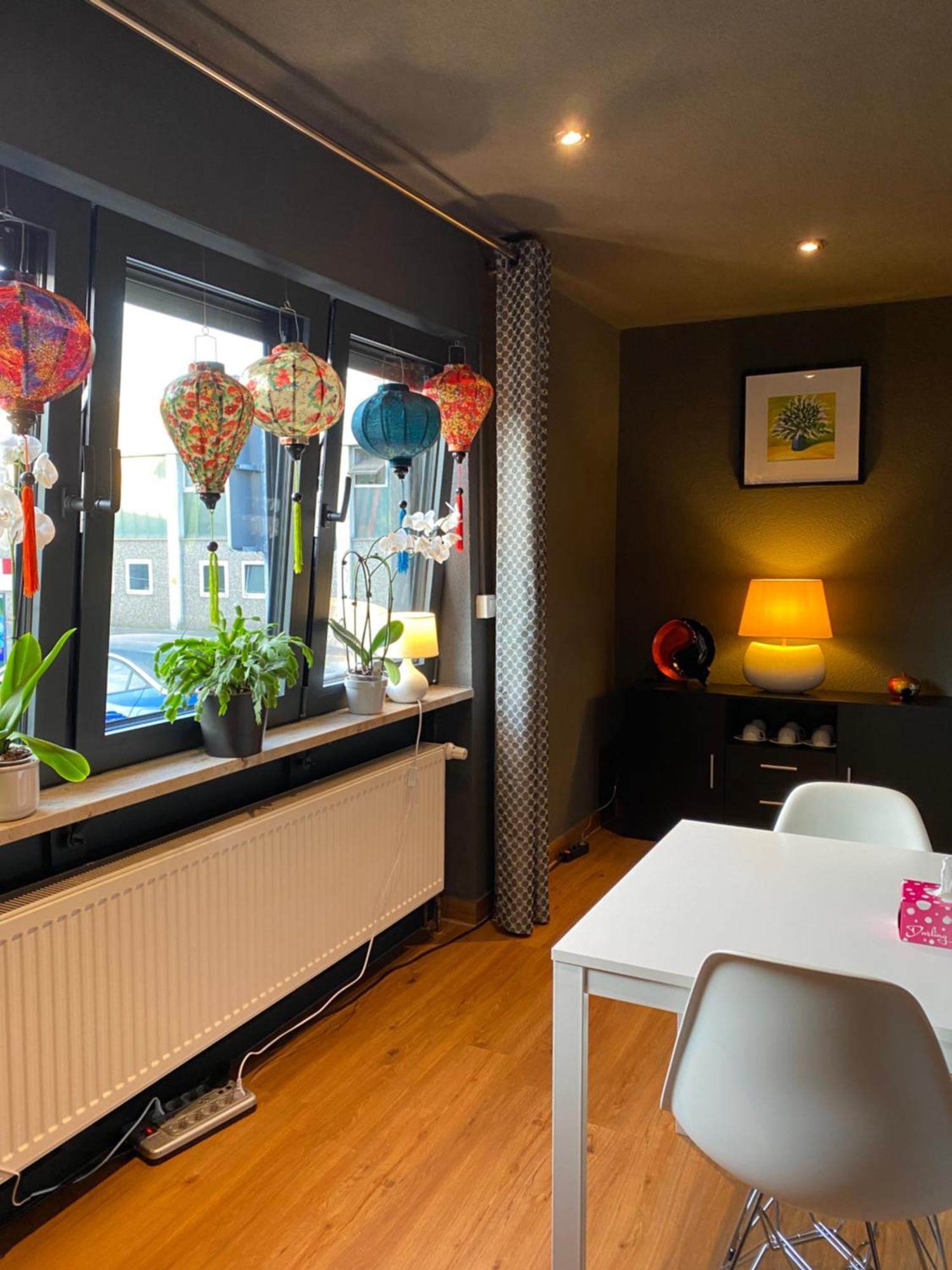 Apartment 1 Grosse Elegante Zimmerwohnung 5 Minuten Zu Fuss In Stadtmitte