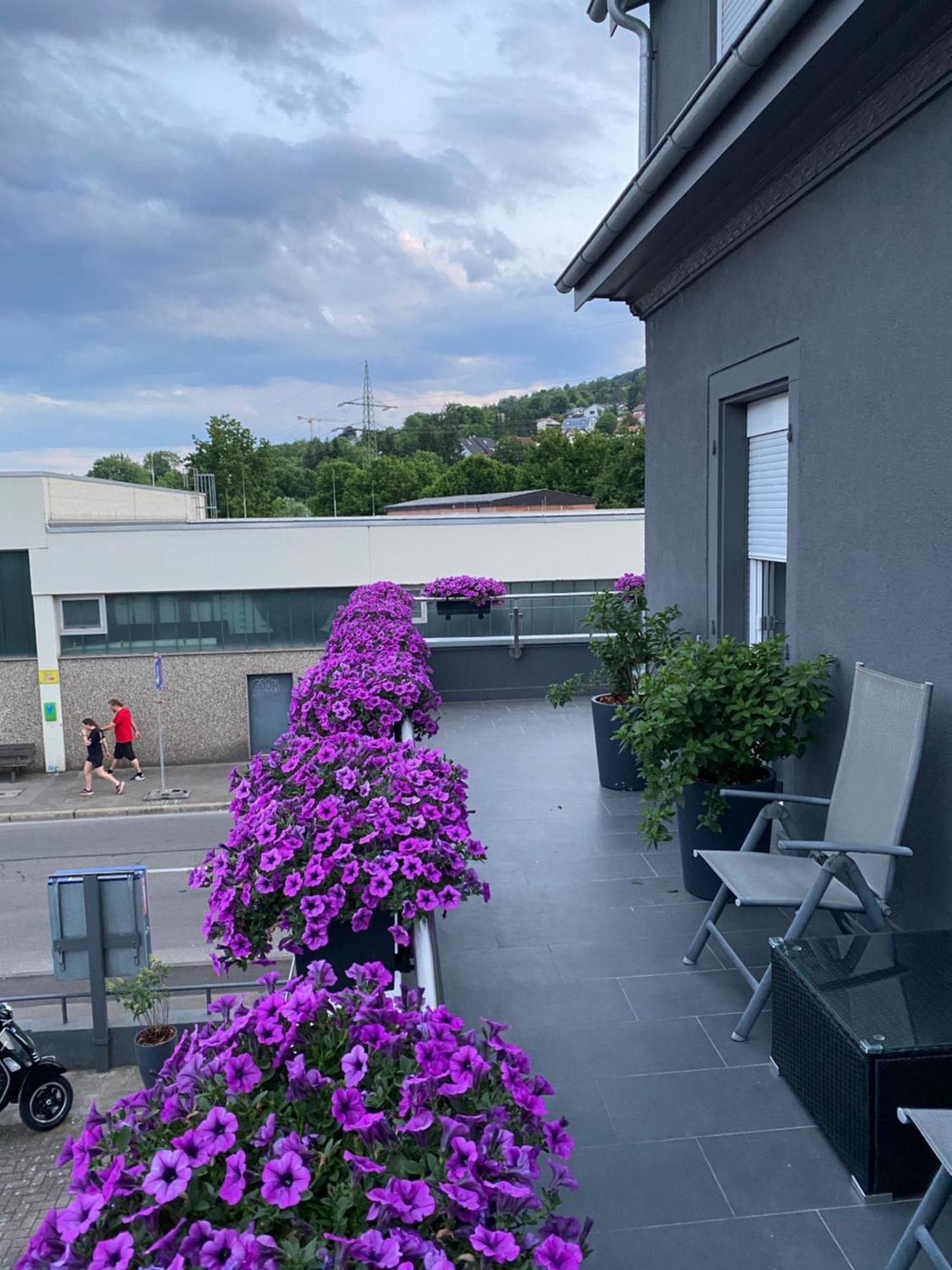 1 Grosse Elegante Zimmerwohnung 5 Minuten Zu Fuss In Stadtmitte