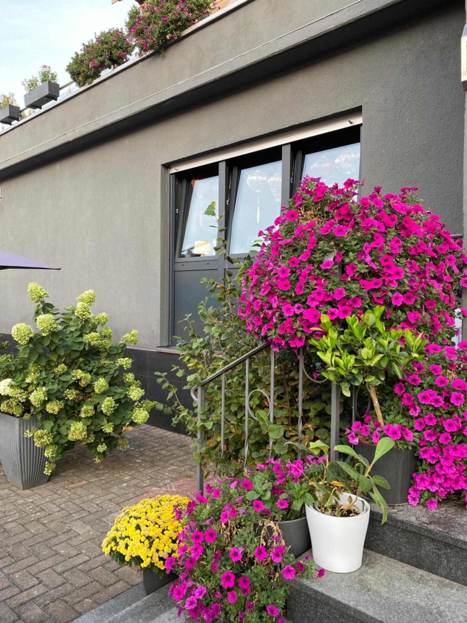 1 Grosse Elegante Zimmerwohnung 5 Minuten Zu Fuss In Stadtmitte Apartment