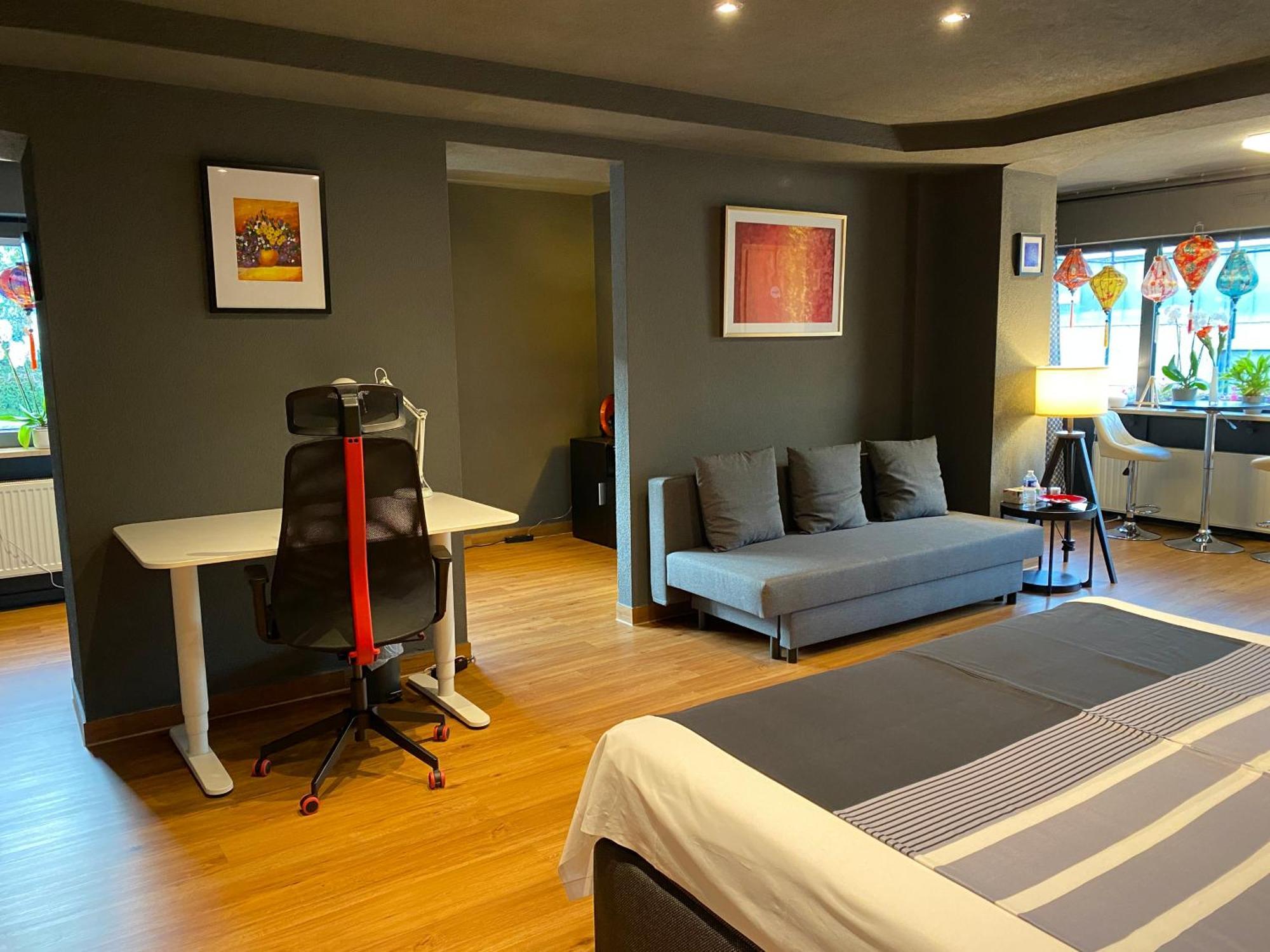 Apartment 1 Grosse Elegante Zimmerwohnung 5 Minuten Zu Fuss In Stadtmitte *