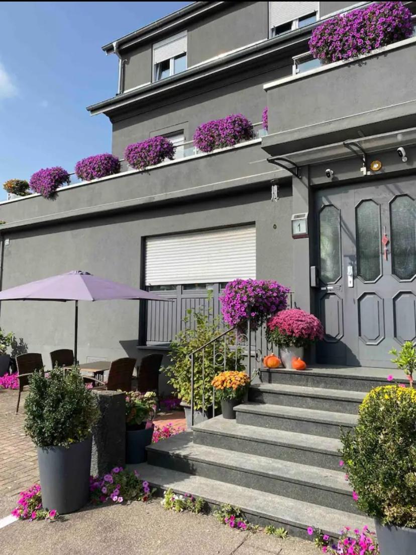 1 Grosse Elegante Zimmerwohnung 5 Minuten Zu Fuss In Stadtmitte